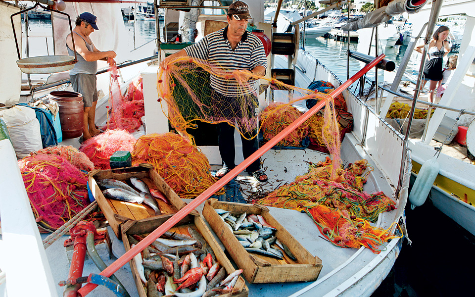 ψάρια-μόλιs-αλιευμένα-2114588