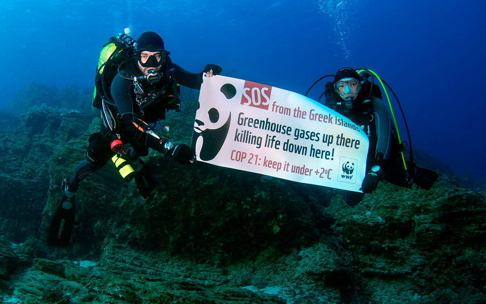 χωρίς-ανάληψη-δράσεων-οι-κοραλλιογεν-2112970