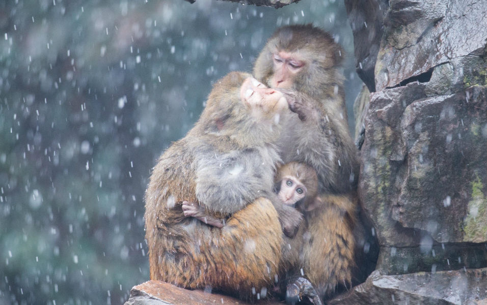 φωτογραφήματα-2119299