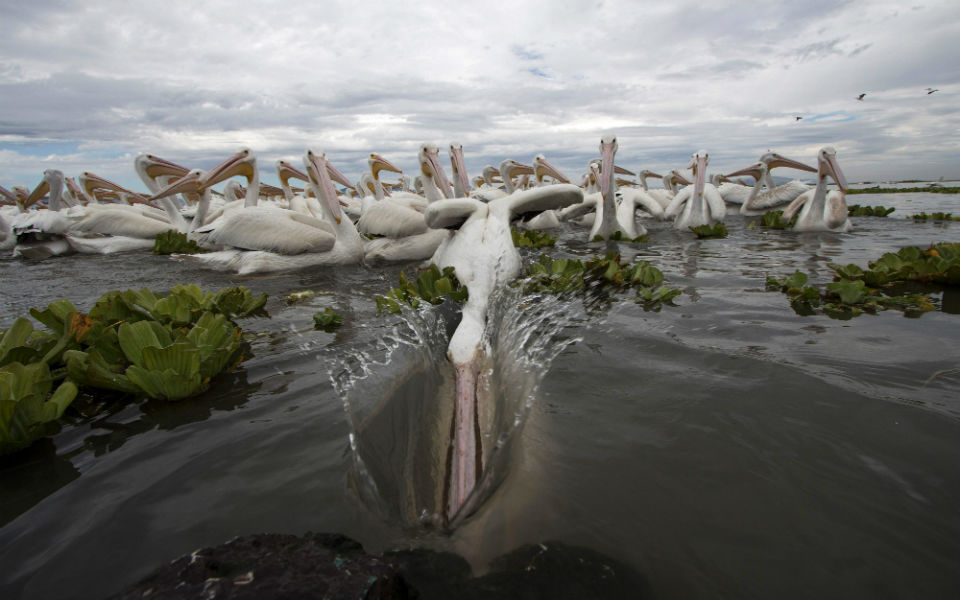 φωτογραφήματα-2117032