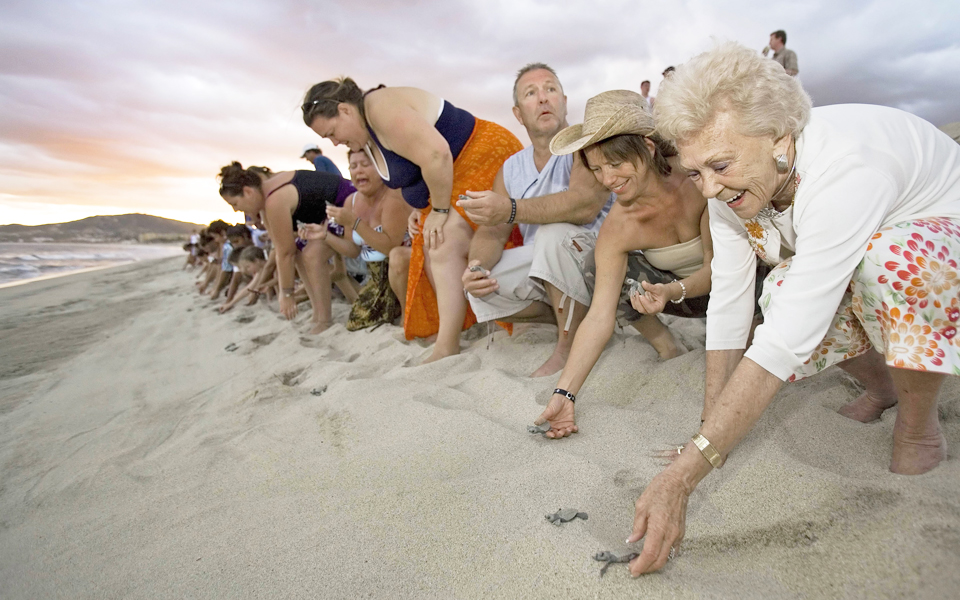 μέλη-σε-διεθνείς-αλυσίδες-δύο-ξενοδοχ-2118427