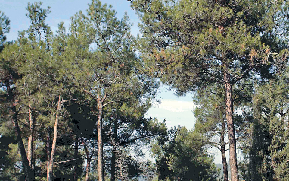 υψηλό-το-κόστος-της-αδράνειας-για-τους-2119395