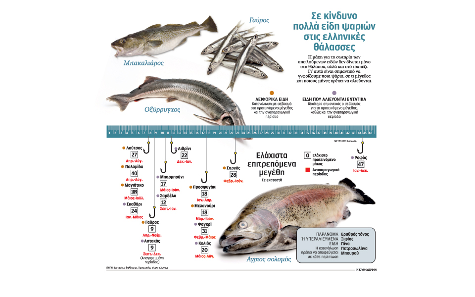 οι-θάλασσες-αδειάζουν-οι-έλεγχοι-απου-2119394