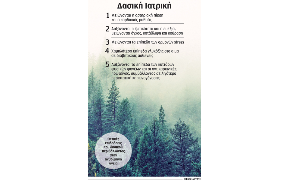 μια-βόλτα-στο-δάσος-ωφέλιμη-για-την-υγε-2120278