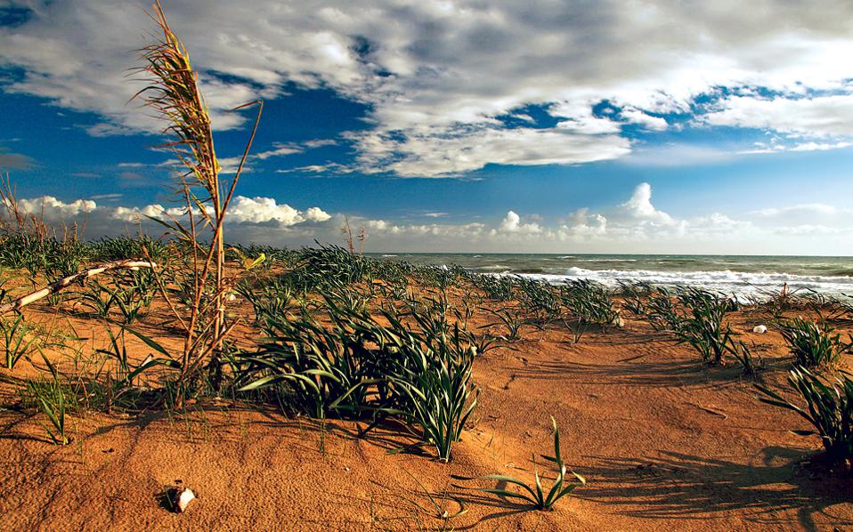 ο-παππούς-του-σύγχρονου-ημερολογίο-2117494