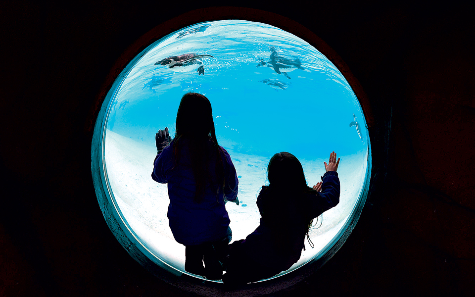 ωρα-να-μετρηθούμε-2117333