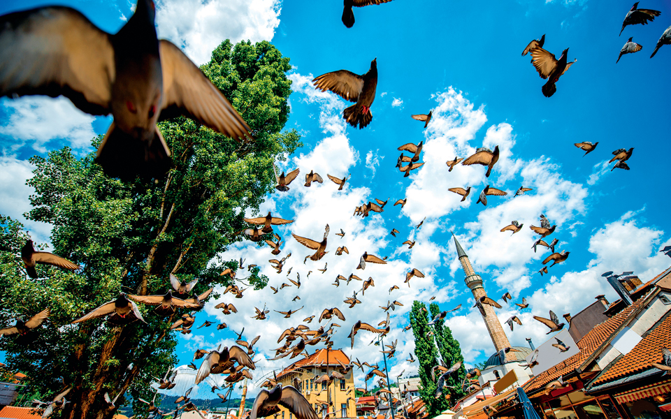 φέτος-ανακαλύπτουμε-τη-γειτονιά-μας-2117343