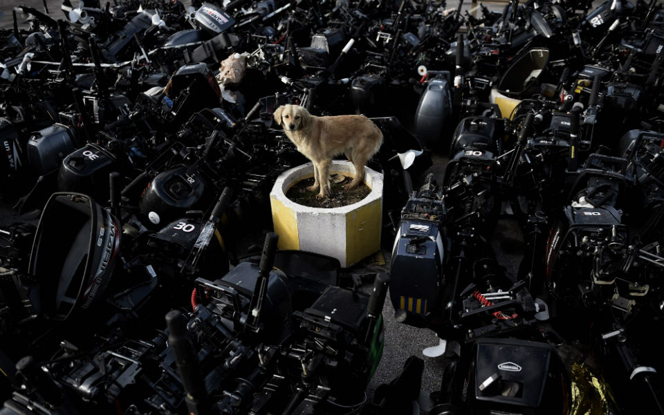 φωτογραφήματα-2123457