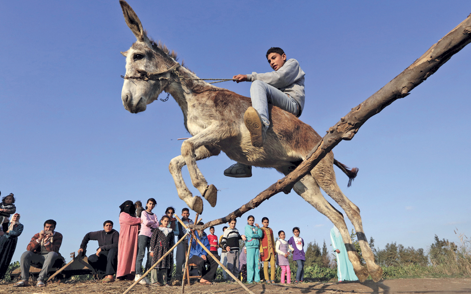 οι-αγρότες-και-η-κερδισμένη-ευρώπη-2121720