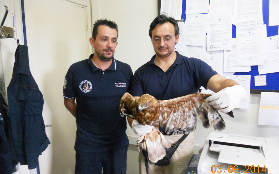 η-ελλάδα-πέρασμα-λαθρεμπόρων-πουλιών-2123096