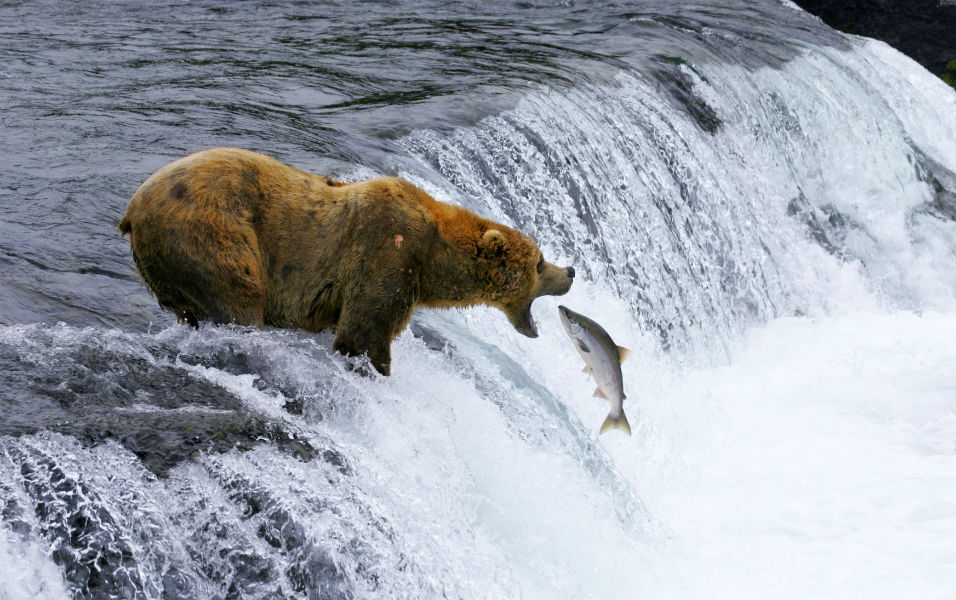 φωτογραφήματα-2121770