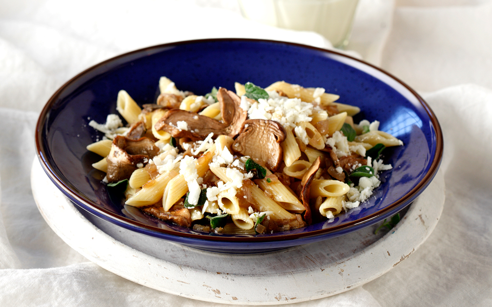 πένες-με-λευκά-μανιτάρια-πορτσίνι-γρα-2122503
