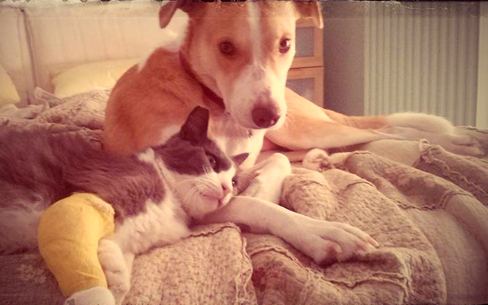 τι-θα-διαβάσουμε-με-το-νέο-κ-της-καθημ-2122950