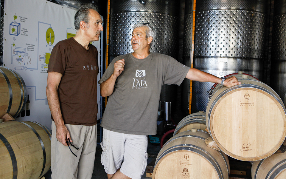 ξίδι-από-ασύρτικο-2121604