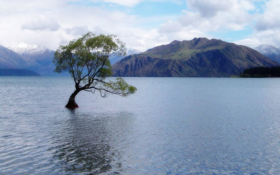 η-δική-μας-μαγική-διάσταση-2123772