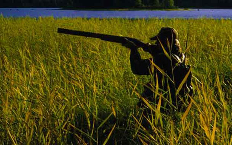 περιβαλλοντική-εκπαίδευση-από-κυνηγ-2123112