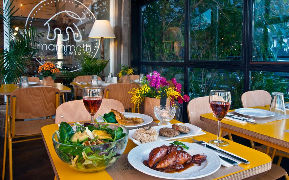 mammoth-slow-food-2120714