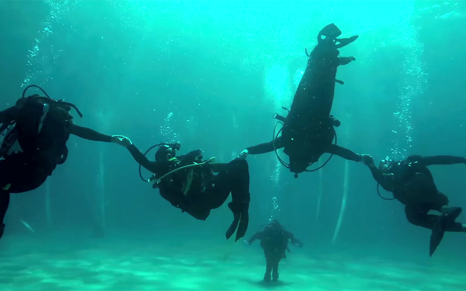 χορεύοντας-στο-βυθό-2121279