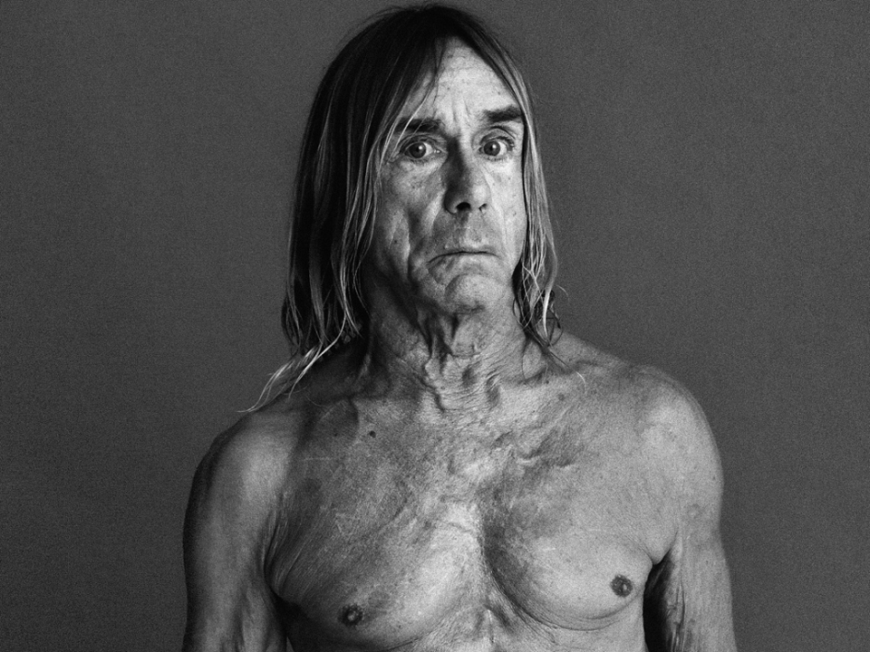 πρόσωπα-ως-γυμνό-μοντέλο-πόζαρε-ο-ιγκι-2124583