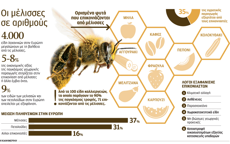η-μείωση-των-μελισσών-απειλεί-τη-γεωργ-2125061