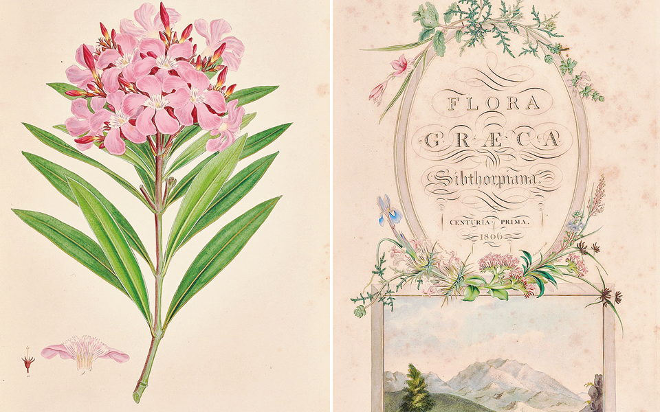 ο-βοτανολόγος-που-κατέγραψε-την-ελλην-2125504