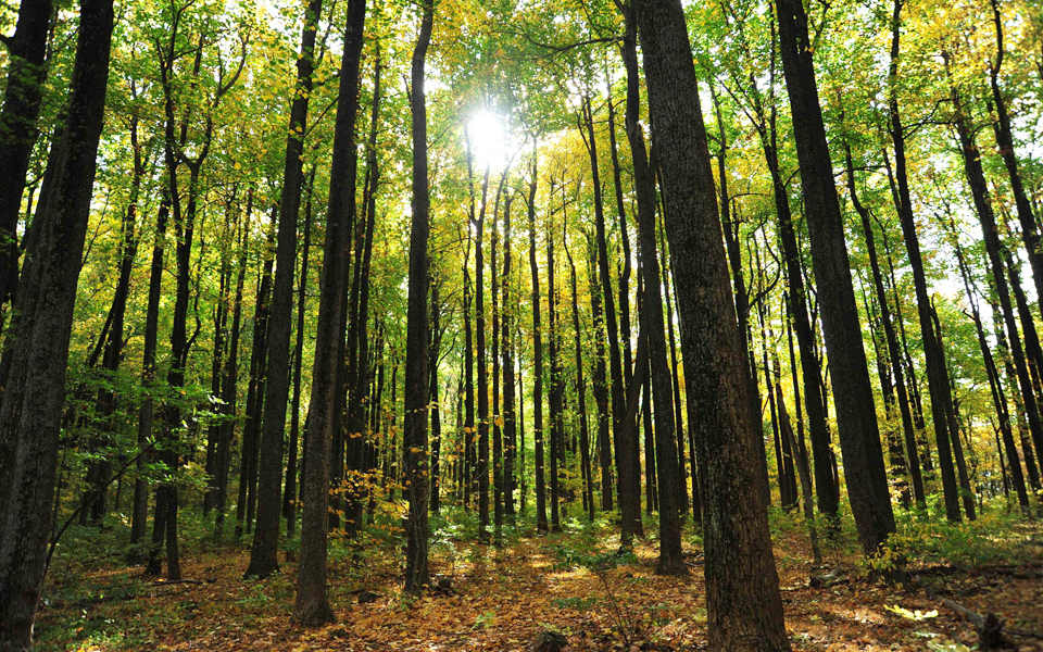 πιο-κοντά-στο-όριο-συναγερμού-η-κλιματ-2127310