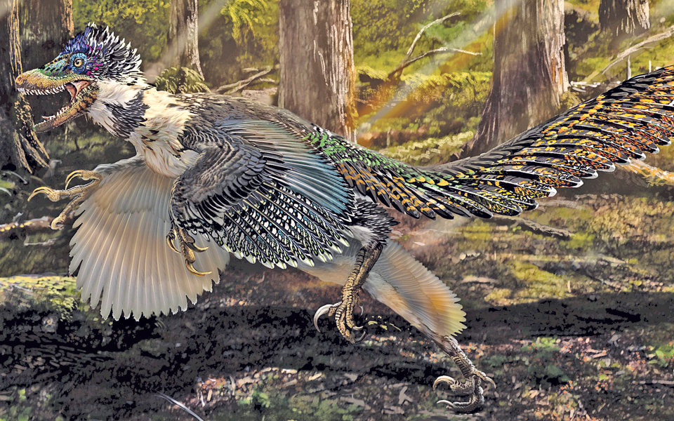 οι-δεινόσαυροι-σταδιακά-πέταξαν-2128392