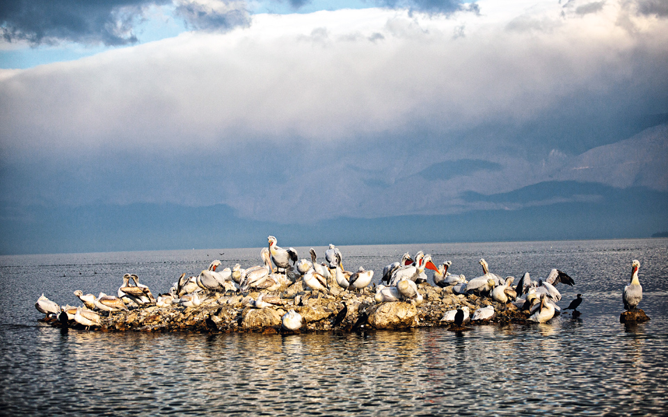 εκδρομή-στις-σέρρες-2127421