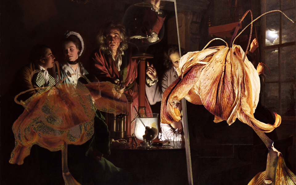 γνωστά-έργα-από-την-παγκόσμια-ιστορία-2124539