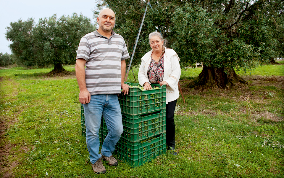 ελαιόλαδο-σαν-φάρμακο-2127407