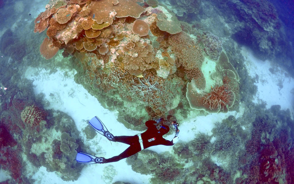 καμπανάκι-wwf-για-τα-παγκόσμια-μνημεία-2129301