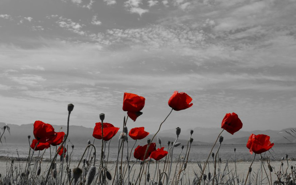 φωτογραφία-του-χρήστη-kxapx-συμμετοχή-στa-public-2131814