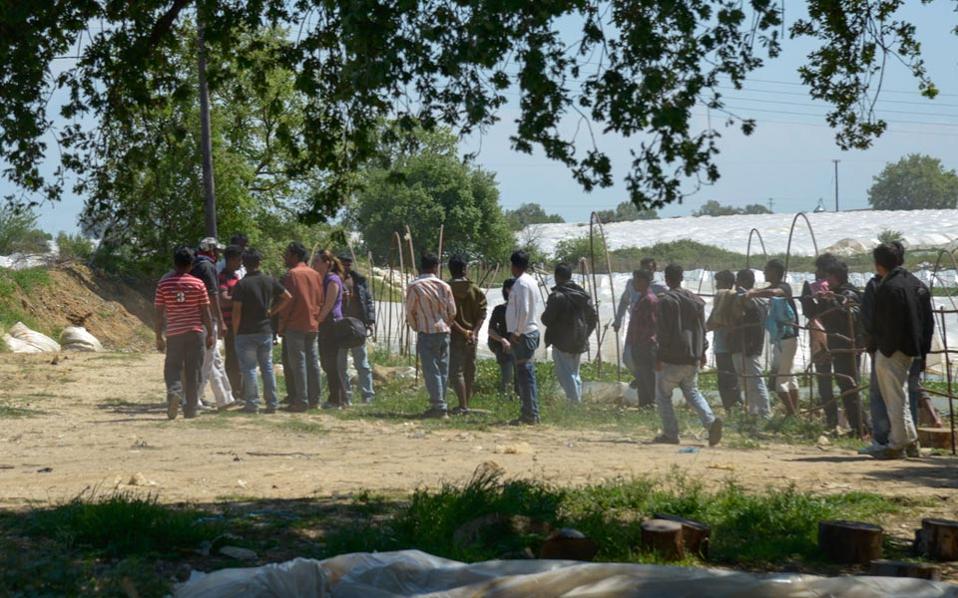 τροπολογία-για-τη-μανωλάδα-2131760