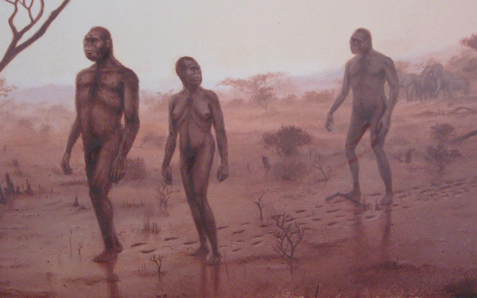 οι-πρόγονοί-μας-περπατούσαν-όπως-εμεί-2131756