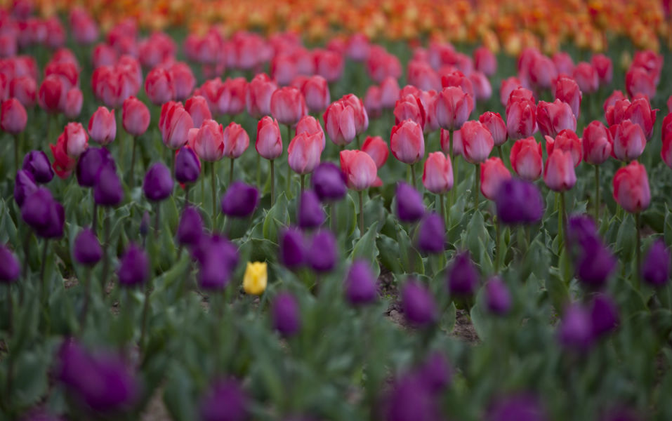 φωτογραφήματα-2128977