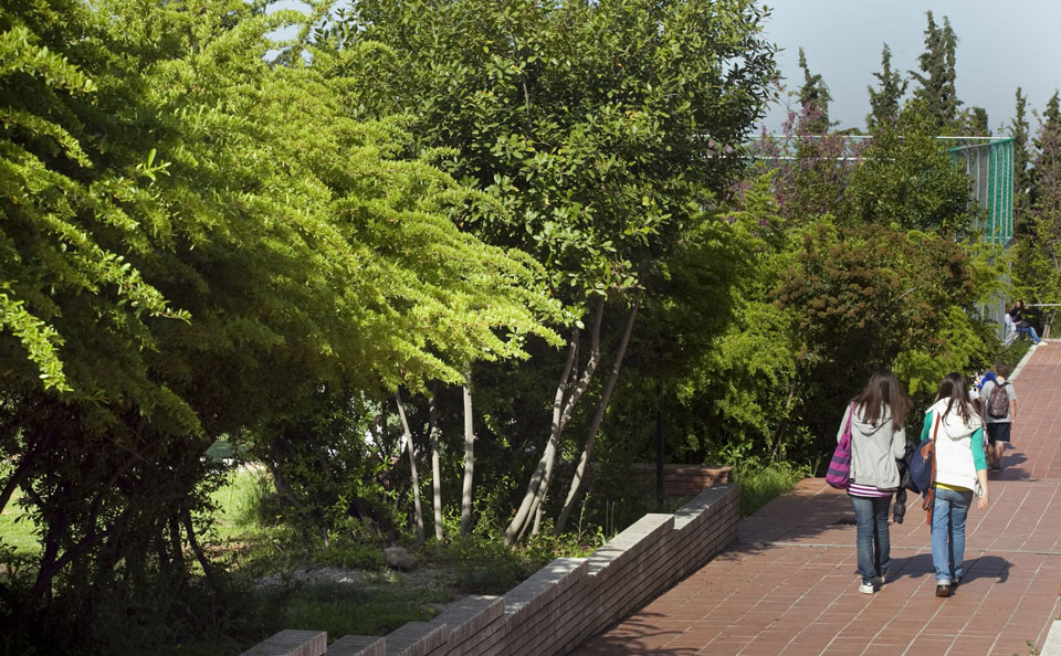 νέες-υποτροφίες-στο-κολλέγιο-ανατόλι-2129980