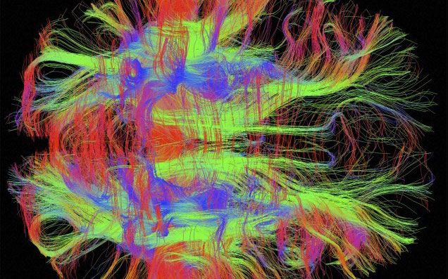 πώς-θα-γίνουμε-αφεντικό-τουμυαλού-μα-2129787