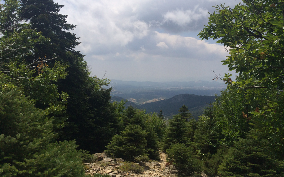 ομορφιά-δίχως-προσπάθεια-2128624