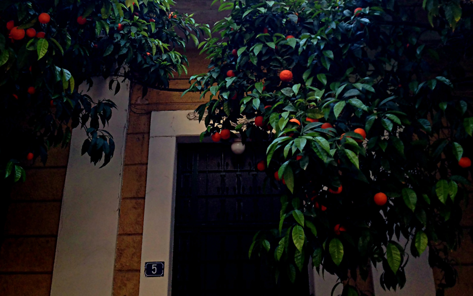 πίσω-από-το-στάδιο-ώς-την-πλατεία-βαρνά-2130341