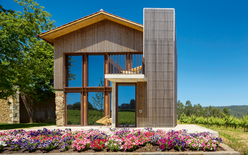 εκεί-όπου-κάποτε-πατούσαν-τα-σταφύλια8-2129304