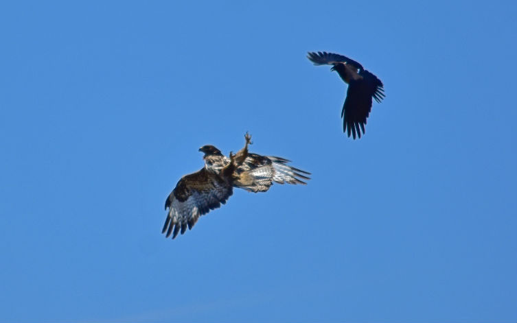 φωτογραφήματα-2133137
