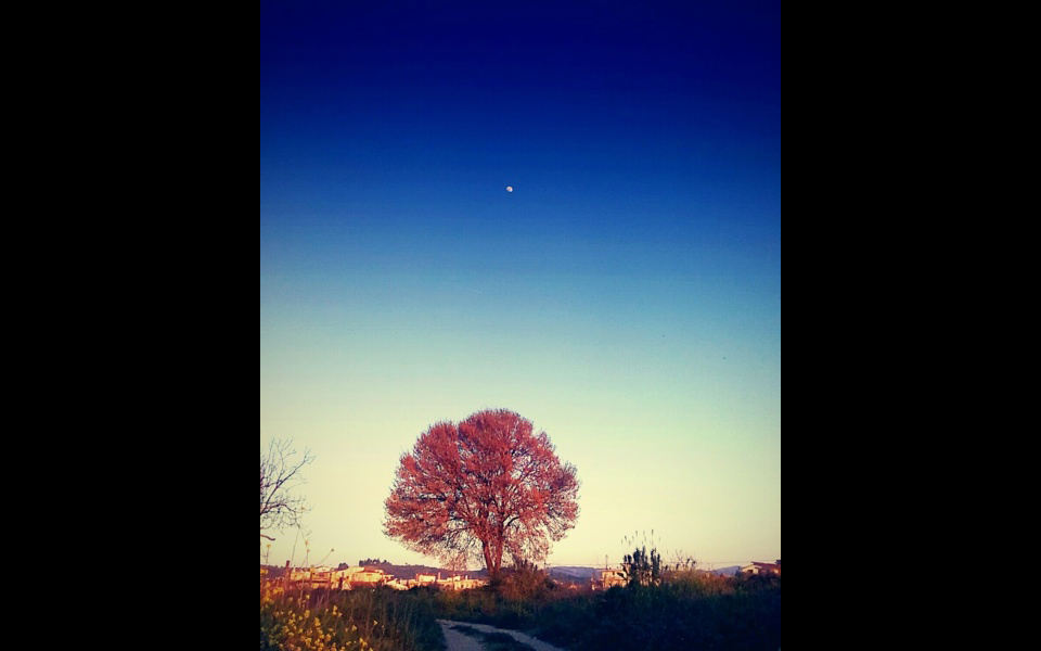 φωτογραφία-του-χρήστη-μαρία-σταθα-2133249