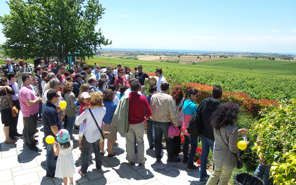 οι-οινοποιοί-της-β-ελλάδος-ανοίγουν-τι-2135333