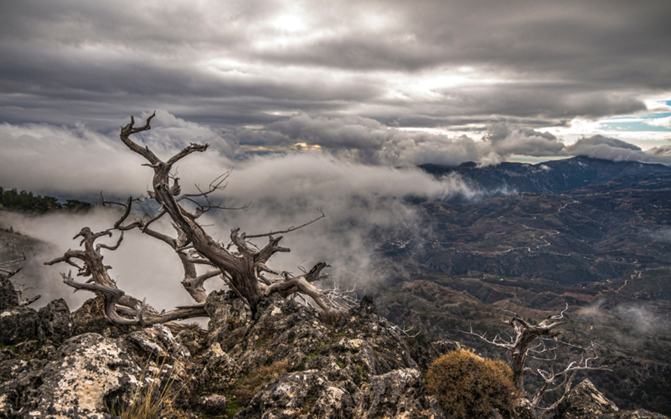 φωτογραφία-του-χρήστη-manosts-συμμετοχ-2134365
