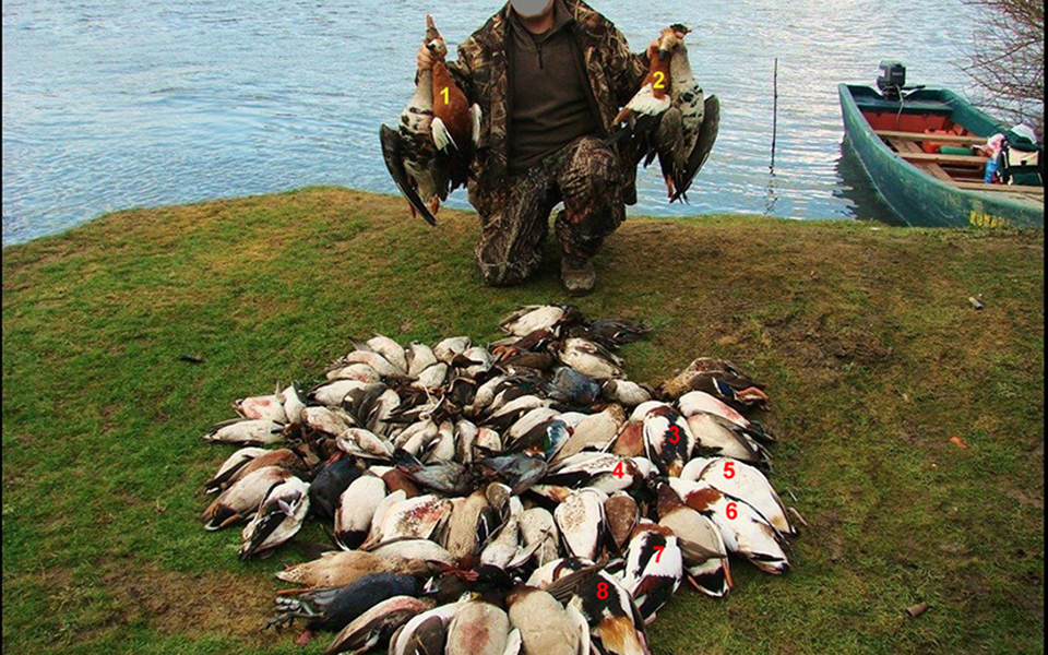 επεδείκνυε-θηράματα-μεταξύ-των-οποίω-2132923