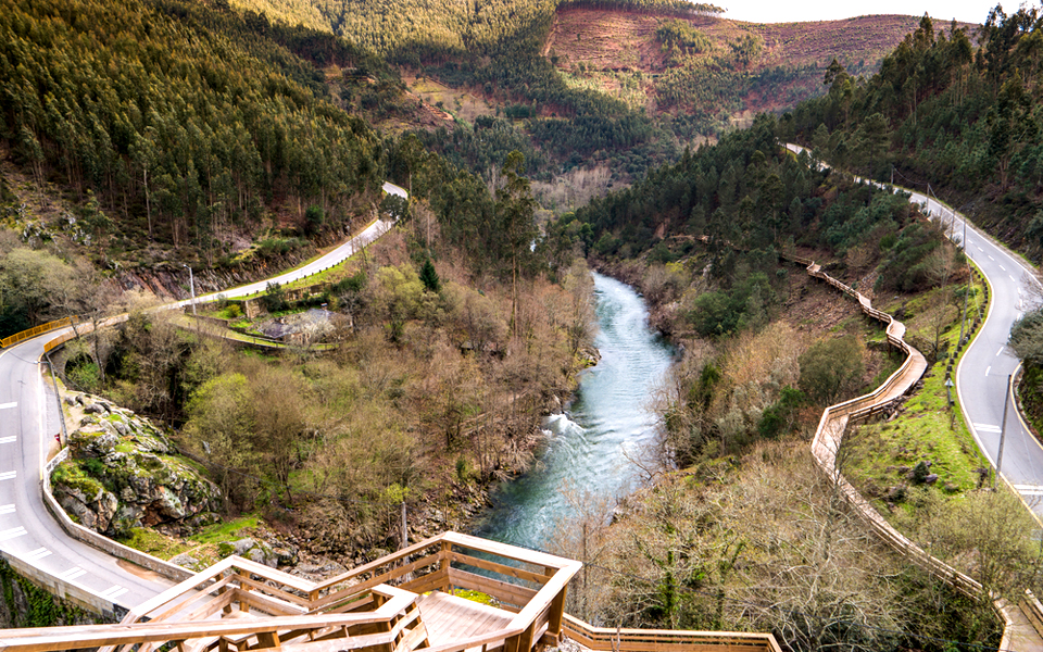περπατώ-εις-το-δάσος-2134960