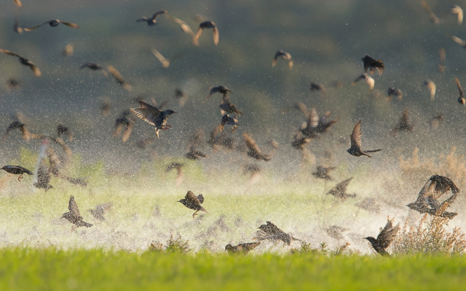 φωτογραφία-του-χρήστη-nikosf-συμμετοχή-στ-2132499