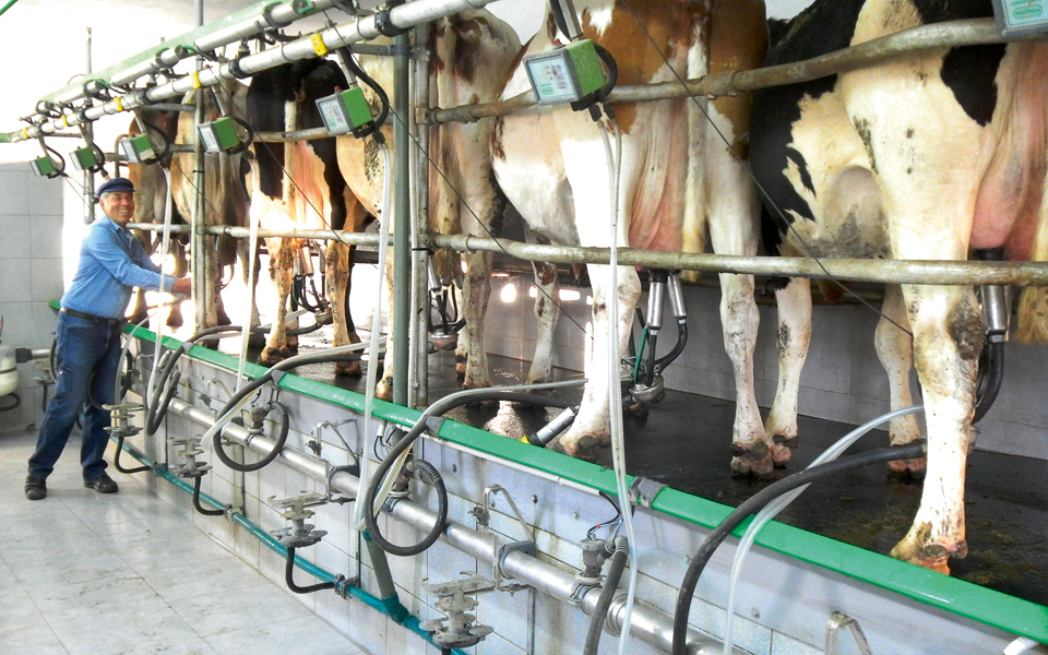 τυροκόμοι-που-εξάγουν-στον-τόπο-τουs-2133266