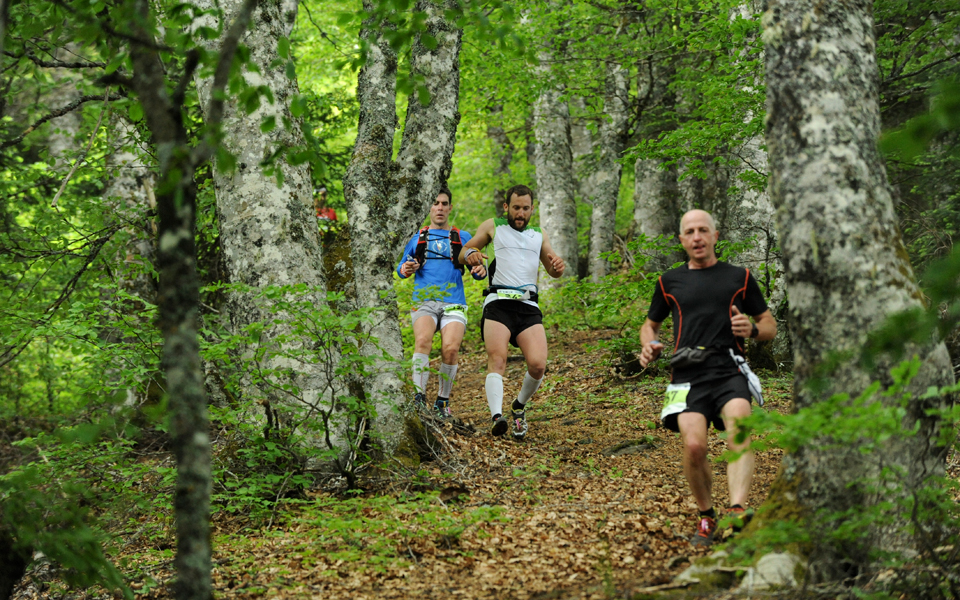 πίνδος-τρέχουμε-στα-χνάρια-της-αρκούδ-2134941
