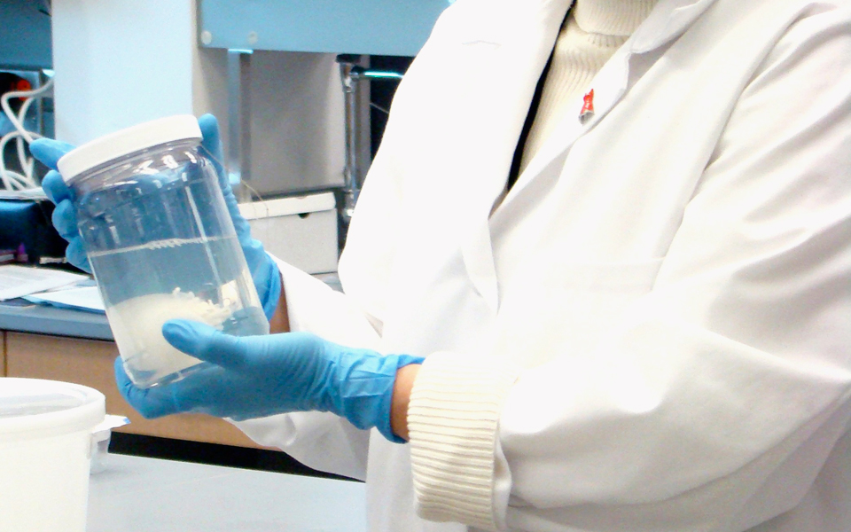 δημιουργούν-ανθρώπινα-όργανα-μέσα-σε-2137261